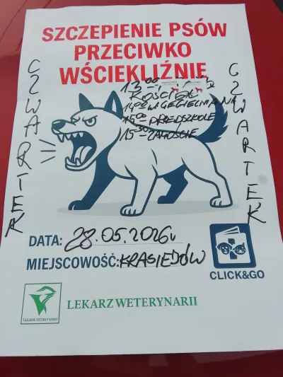 Obowiązkowe szczepienie psów