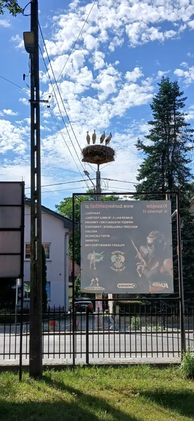 20260729 162016
