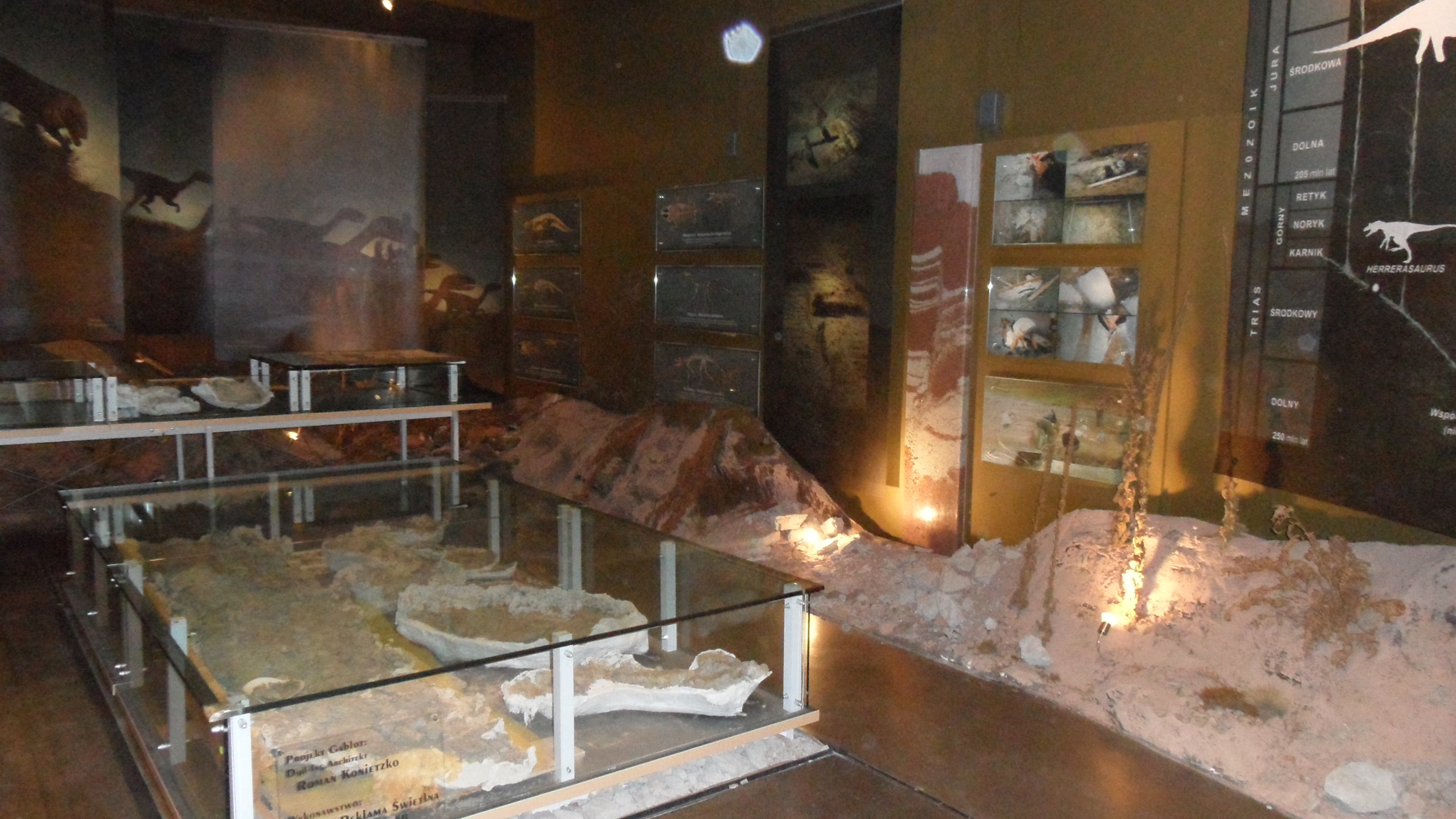 SAM_9530.JPG, W Muzeum Paleontologicznym